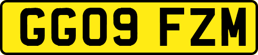 GG09FZM