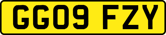 GG09FZY