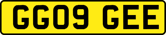 GG09GEE