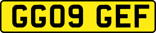 GG09GEF