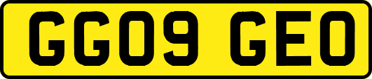 GG09GEO