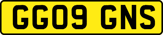 GG09GNS