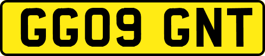 GG09GNT
