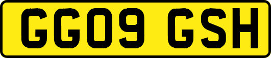 GG09GSH