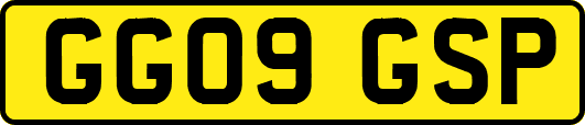 GG09GSP