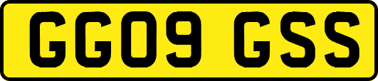 GG09GSS