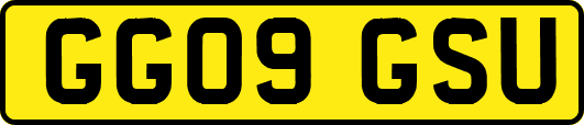 GG09GSU