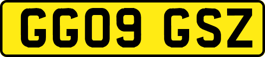 GG09GSZ