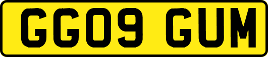 GG09GUM