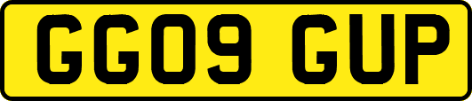 GG09GUP
