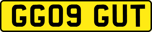 GG09GUT