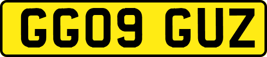 GG09GUZ
