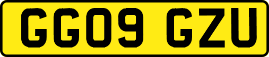 GG09GZU