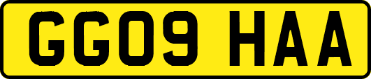 GG09HAA