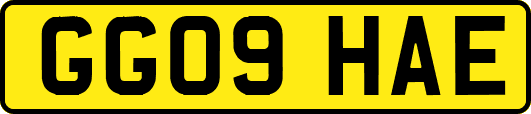GG09HAE