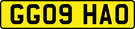GG09HAO