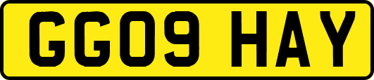GG09HAY