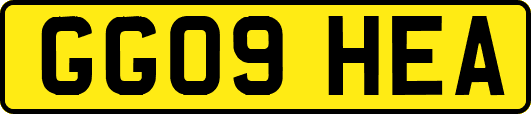 GG09HEA