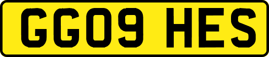 GG09HES