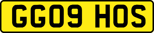 GG09HOS