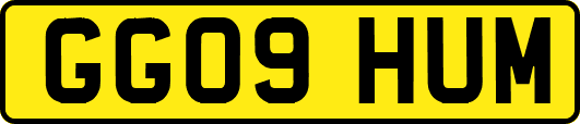 GG09HUM