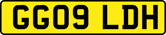GG09LDH