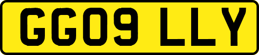 GG09LLY