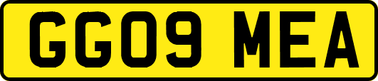 GG09MEA