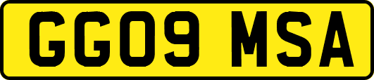 GG09MSA