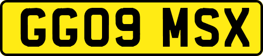 GG09MSX