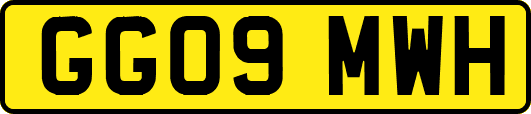 GG09MWH