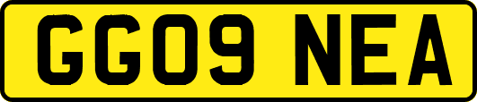 GG09NEA