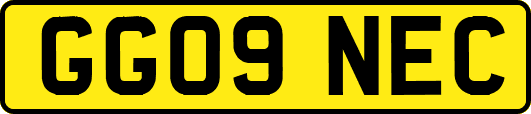 GG09NEC