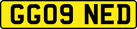 GG09NED