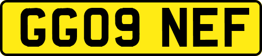 GG09NEF