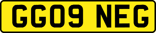 GG09NEG