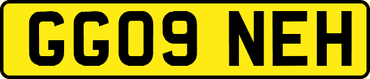 GG09NEH