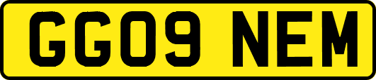 GG09NEM
