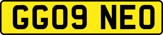 GG09NEO