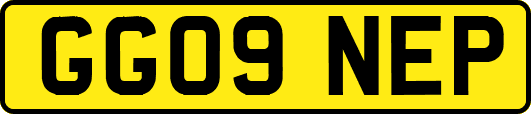 GG09NEP