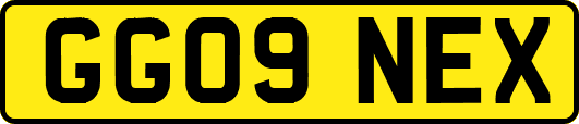 GG09NEX