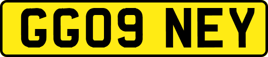 GG09NEY