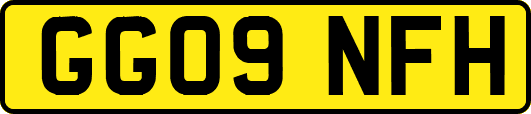 GG09NFH