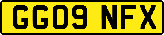 GG09NFX