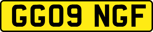 GG09NGF