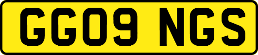 GG09NGS
