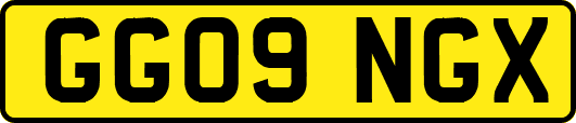 GG09NGX