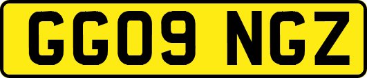 GG09NGZ