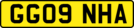 GG09NHA
