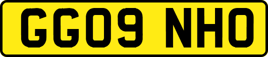 GG09NHO